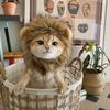 Cat & Small Dog Cute Lion Headgear with Rabbit Ears - Funny Pet Costume Accessories