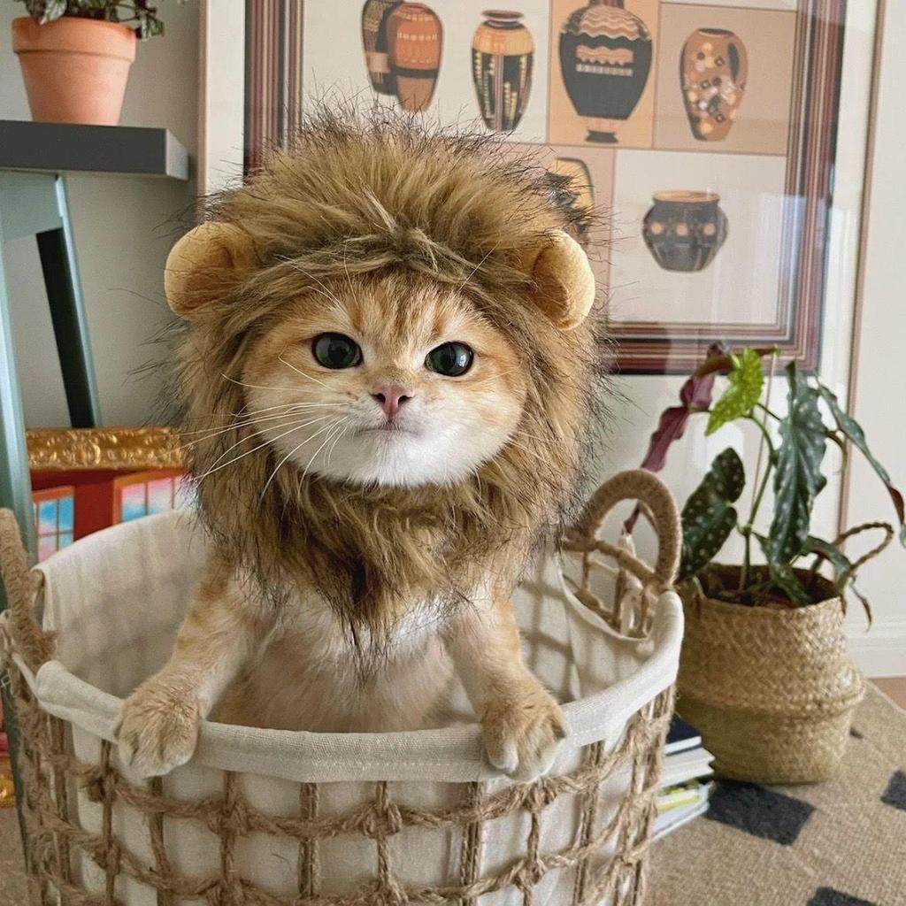 Cat & Small Dog Cute Lion Headgear with Rabbit Ears - Funny Pet Costume Accessories