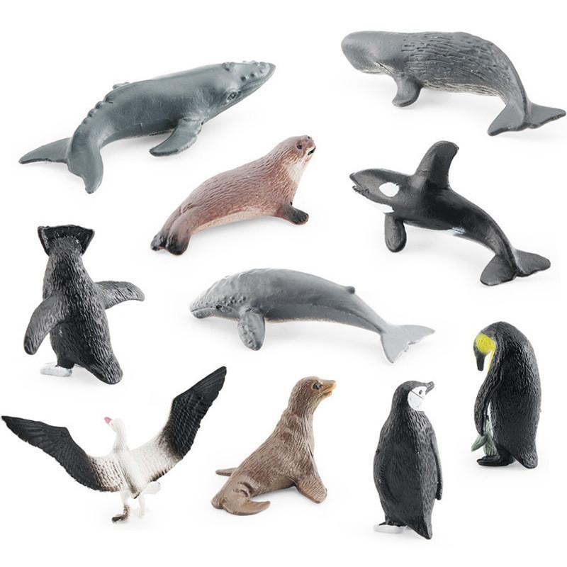 Detailed Pvc Antarctic Ocean Animal Model Set With Penguin Whale Seal And Albatross