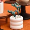 5Pcs Dollhouse Miniature Vase Plant Potted Model Dollhouse Home Decor Toy Micro Landscape Scenery Photo Props