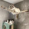 Wall Mounted Cat Activity Center Sisal Cat Climbing Ladder Wood Cat Bridge with Scratching Surface Wall Cat Furniture for Cats