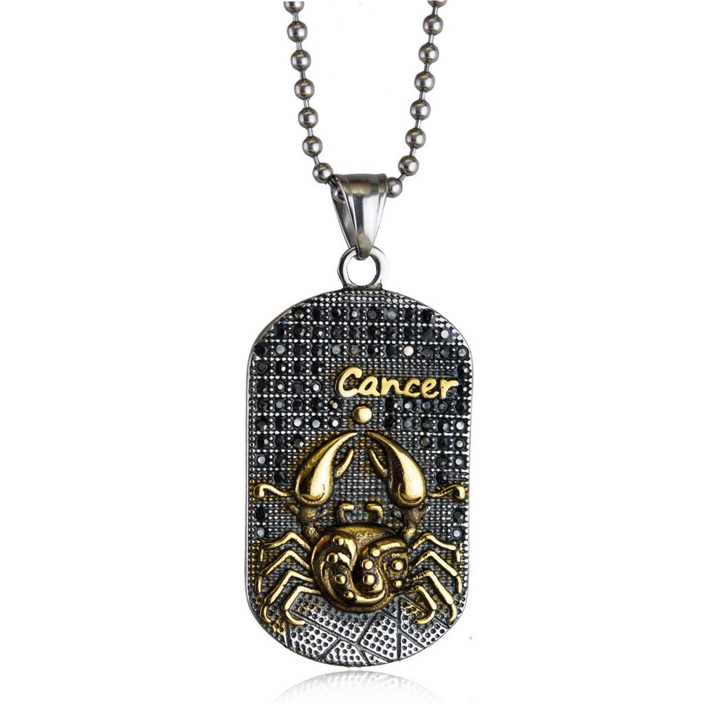 Hip Hop Mode Anhänger Punk Zwölf Sternzeichen Titanstahl Anhänger Halskette Trendy Retro Persönlichkeit Anhänger