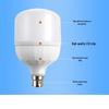 Xuanzhizhun B22 LED Light Bulb CN plug (adapter included)