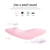 Vibrating Panties Wearable Clit Stimulator G-Spot Vibrator Wireless Remote Control Sex Toy for Women