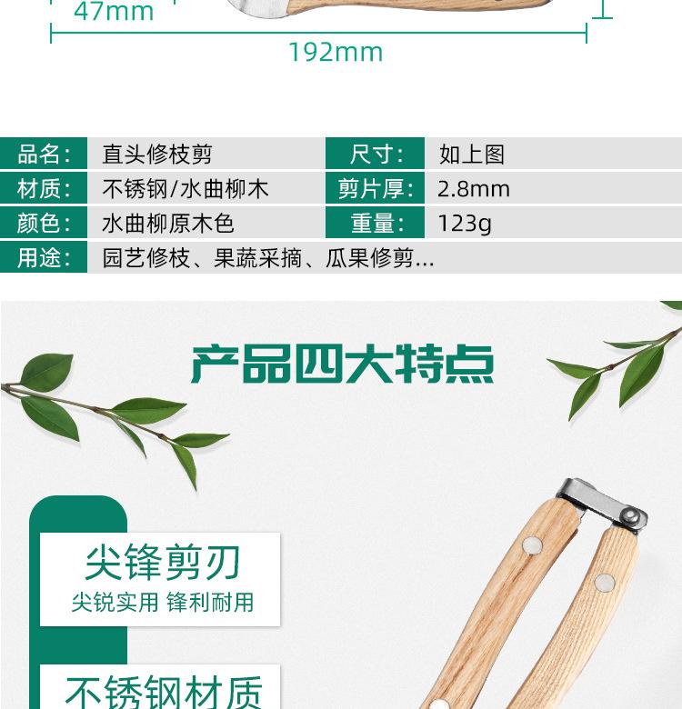Stainless Steel Ash Pruning Branches Floral Straight Handle Gardening Scissors Rose Scissors Pruning Pruning Garden Tools