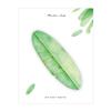 Various Leaves Collection Self-Adhesive N Times Memo Pad Sticky Notes Bookmark Stationery Office School Supplies