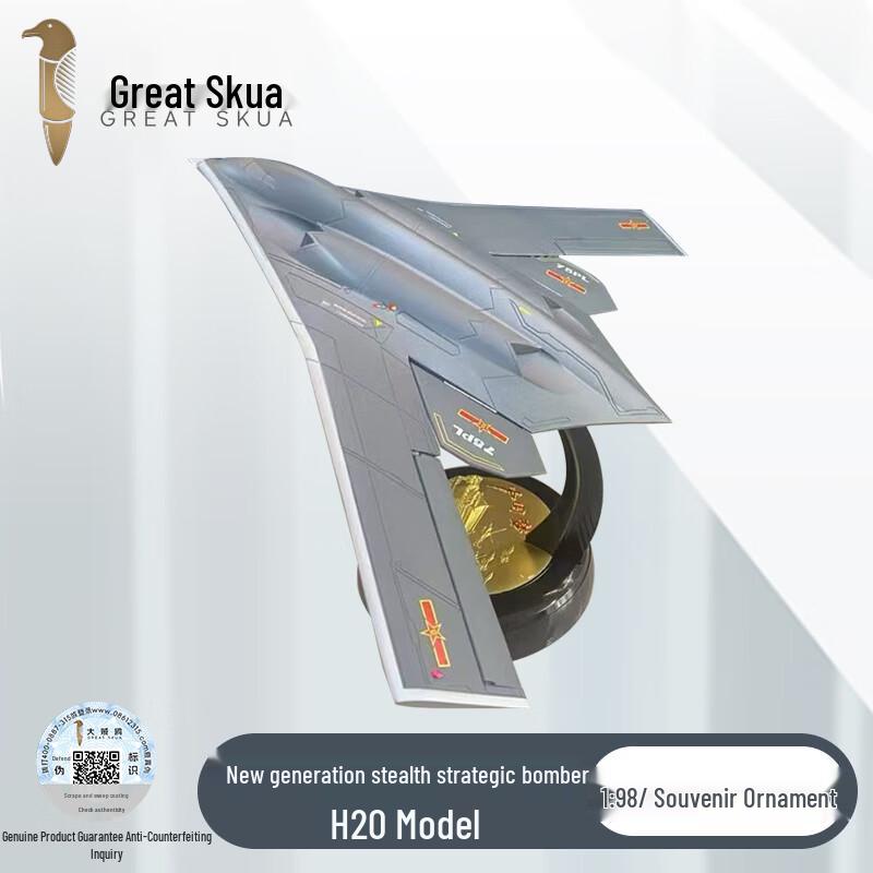 H-20 Stealth Bomber Aircraft Model