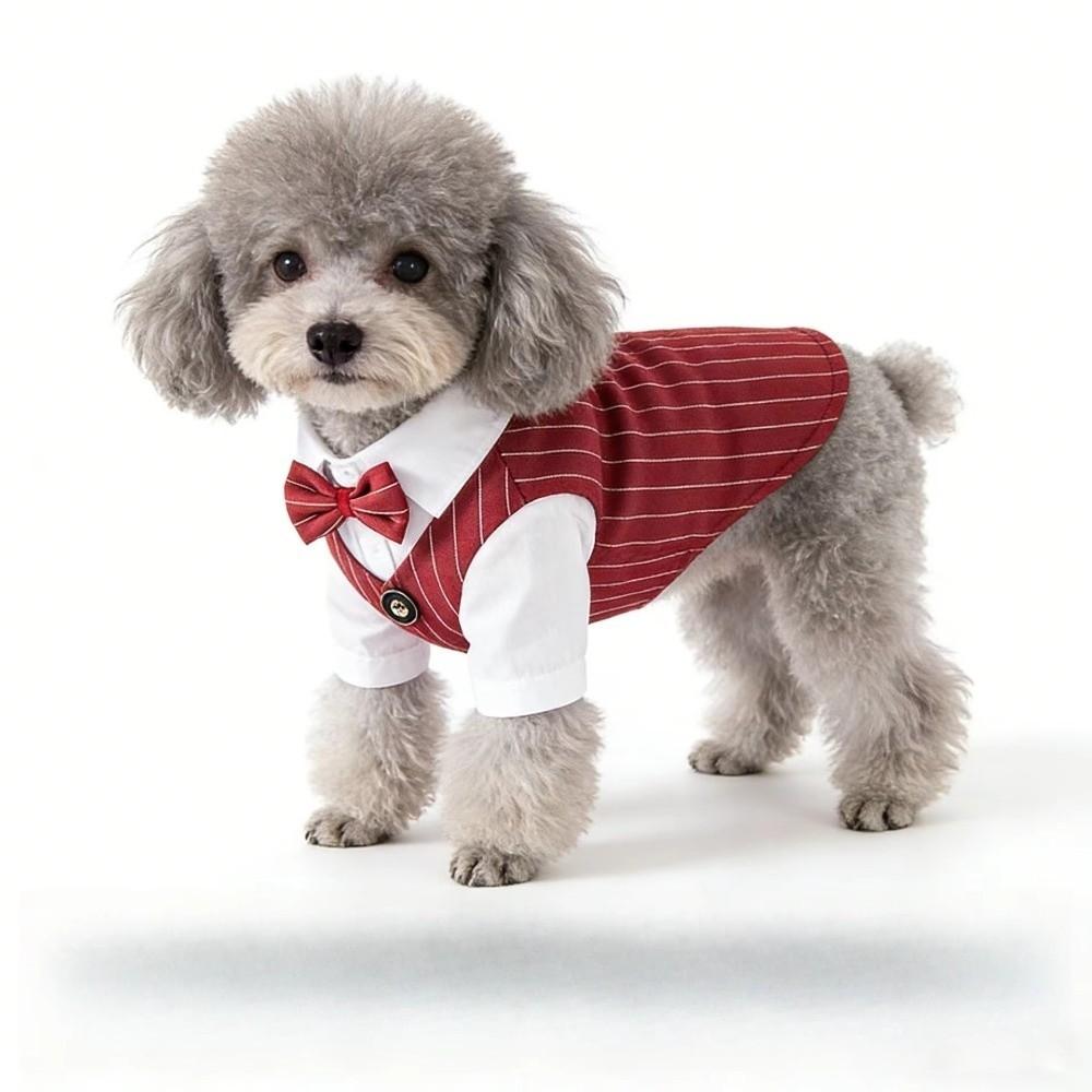 Short Sleeve Dog Wedding Suit Lightweight Spring Suit Shirt Dog Costume Vest  for Bichon Dogs