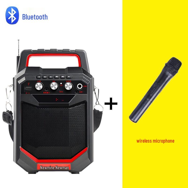 Newmine K66 Portable Bluetooth PA System with Wireless Microphone