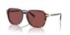 Sunglasses HC8383U CL912 DARK TORTOISE 55 [Coach] TORTOISE/CARAMEL