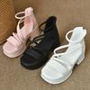 Fashion temperament French versatile with skirt platform sandals women's 2025 new summer design Roman shoes