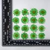 12 PCS/Set Pressed Dried Flowers for Scrapbooks Making Natural Flower For Epoxy Resin Pendant Necklace Jewelry Making Craft