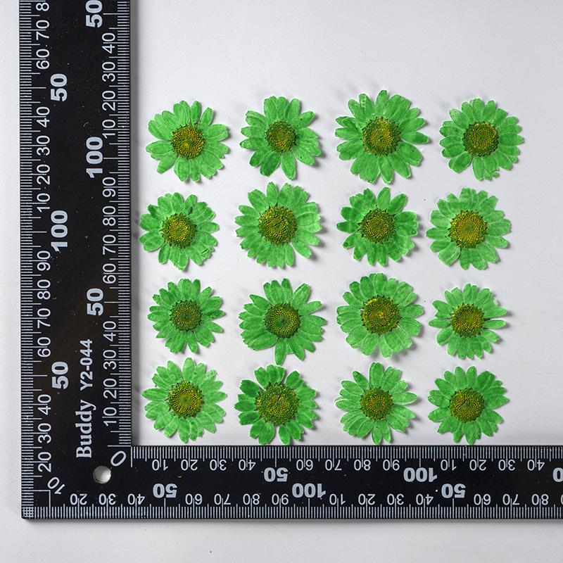 12 PCS/Set Pressed Dried Flowers for Scrapbooks Making Natural Flower For Epoxy Resin Pendant Necklace Jewelry Making Craft