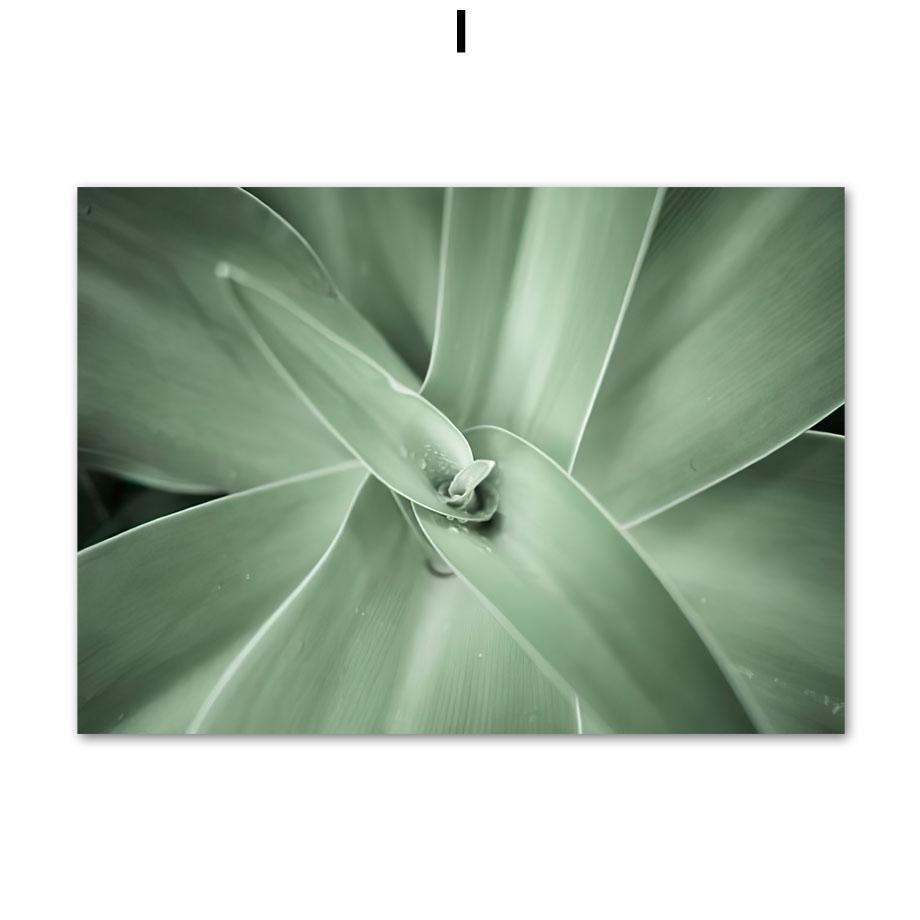 

Зеленая агава кактус листья растения абстрактные настенные картины холст скандинавские постеры и принты для декора гостиной настенные картины 30x40cm No Framed