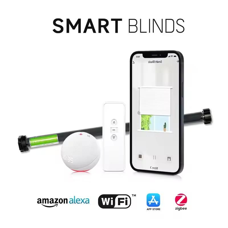 Factory Price Wifi Control Blinds 100%Polyester Double Fabric Connect Alexa Google Homekit Motor Automatic Zebra Blinds For Home