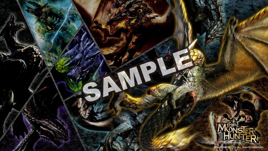 Monster Hunter 4G Zubehör-Set für 3DS LL 3DS „AIROU“ –