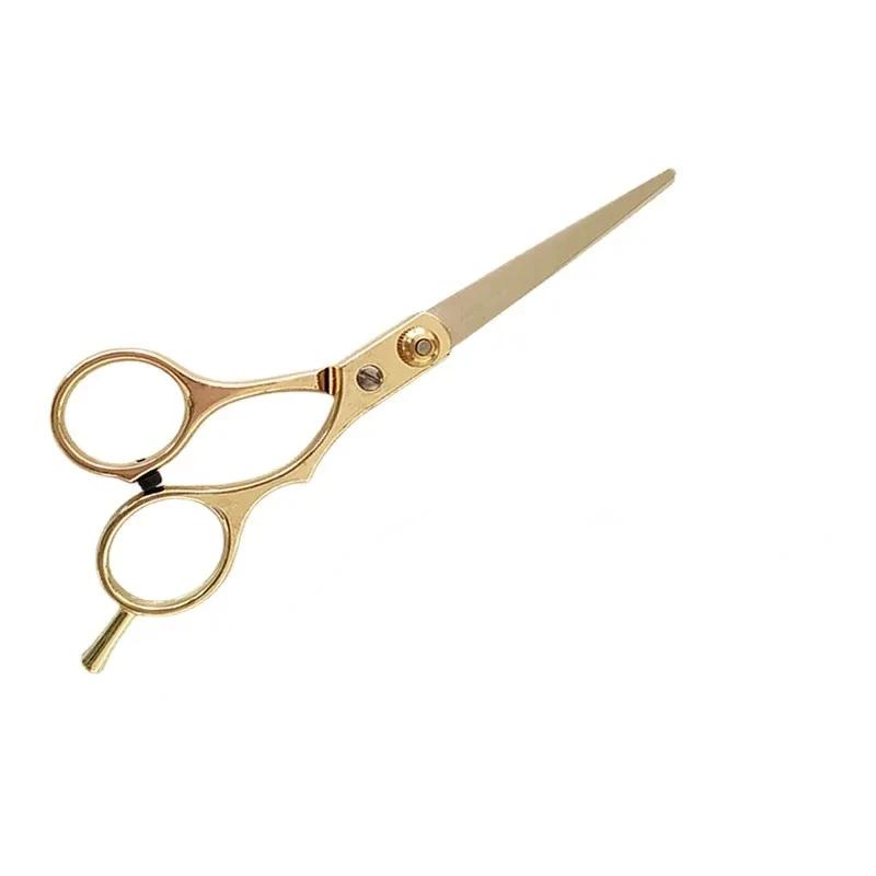 

Ножницы из нержавеющей стали 6 дюймов Парикмахерские товары Стрижка для дома Человек и собака Кошка Домашние животные