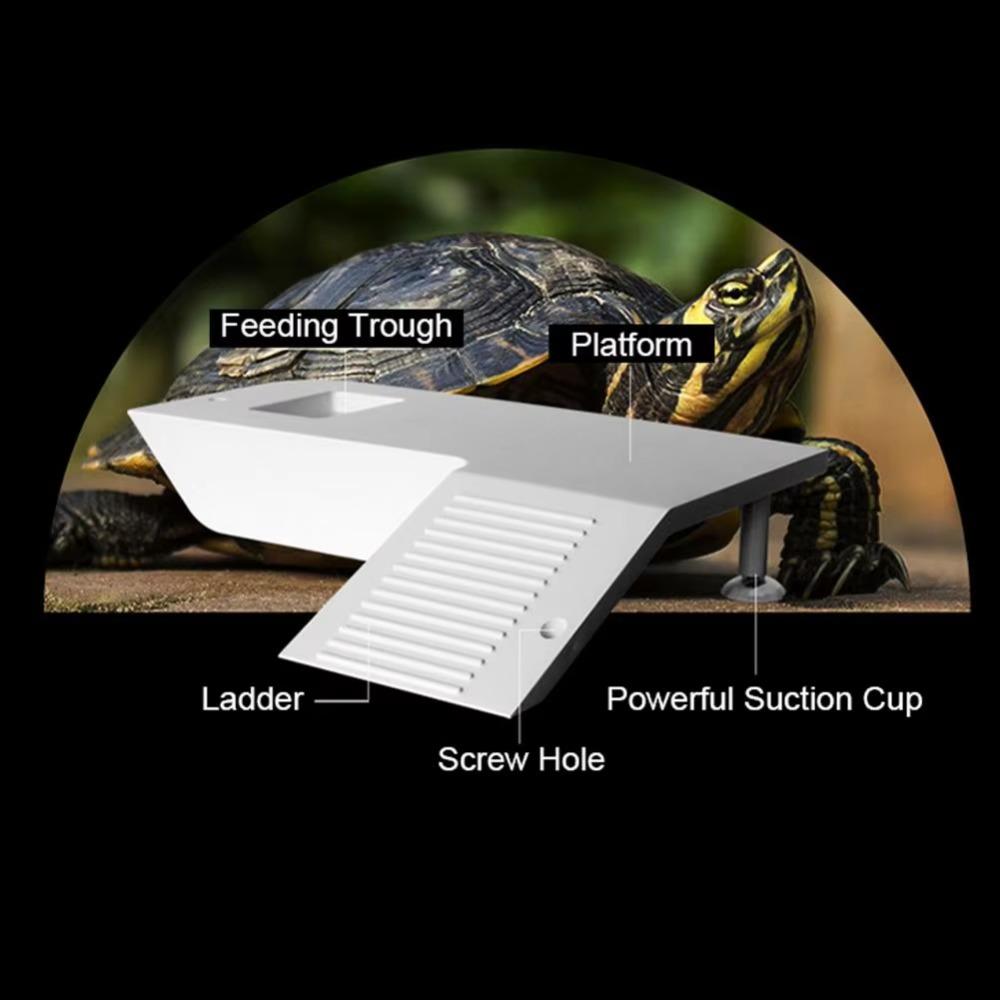 Water Land Slope Box Feeding Climbing Platform Pet Turtle Frog Hamster Cage Scorpion Lizard Safe House Breeding Box Accessories