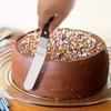 4/6/8/10 Inch Cake Spatula Butter Cream Frosting Frosting Knife Stainless Steel Shovel Cake DIY Cake Tool Accessories