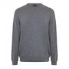 Mens Crew Neck Regular Long-Sleeved Sweatshirt