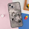 Apple Iphone15 Mobile Phone Case, Weimar Dog Mobile Phone Case, Painted Anti-Drop, Huawei Anti-Drop Mobile Phone Case.