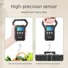 Digital Display Backlight Luggage Weighting Scales 50kg Digital Fish Scale  Weight Scales