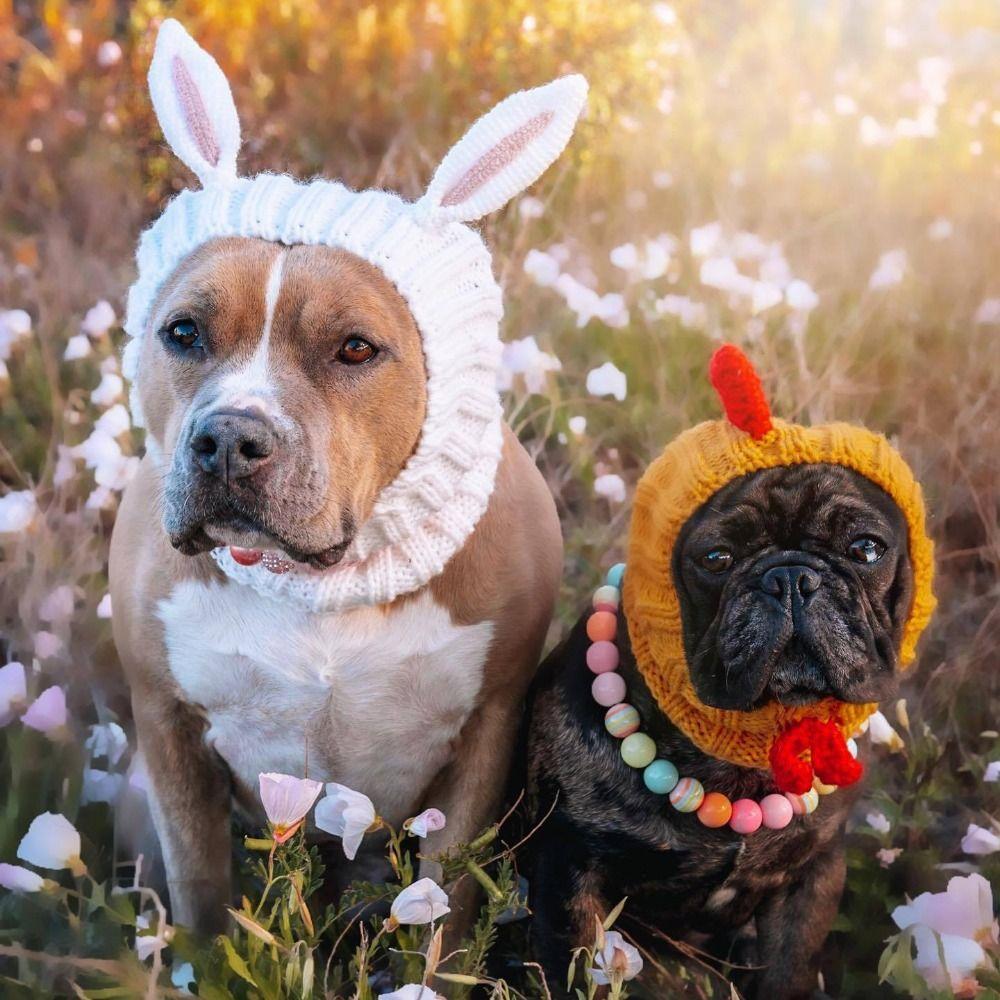 Dinosaur/Brown Bear Halloween Knitted Pet Hat Deer/Black Bull Shape Breathable Rabbit Ear Dog Hat Soft Wool Knitted Puppy Cap
