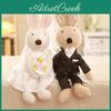 Accesorii de petrecere – Accesorii pentru ceremonii și petreceri
