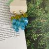 Mori Silver Needle Resin Grape Stud Earrings Summer Pastoral Wind Sweet Small Fresh Earrings Niche High-end Earrings Women
