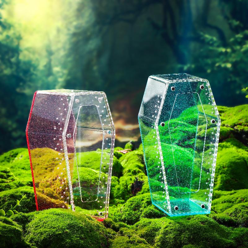 Acrylic Transparent Reptile Enclosure Insect Spider Lizard Feeding Cage Reptile Breeding Box Ventilation Arboreal Enclosure Case