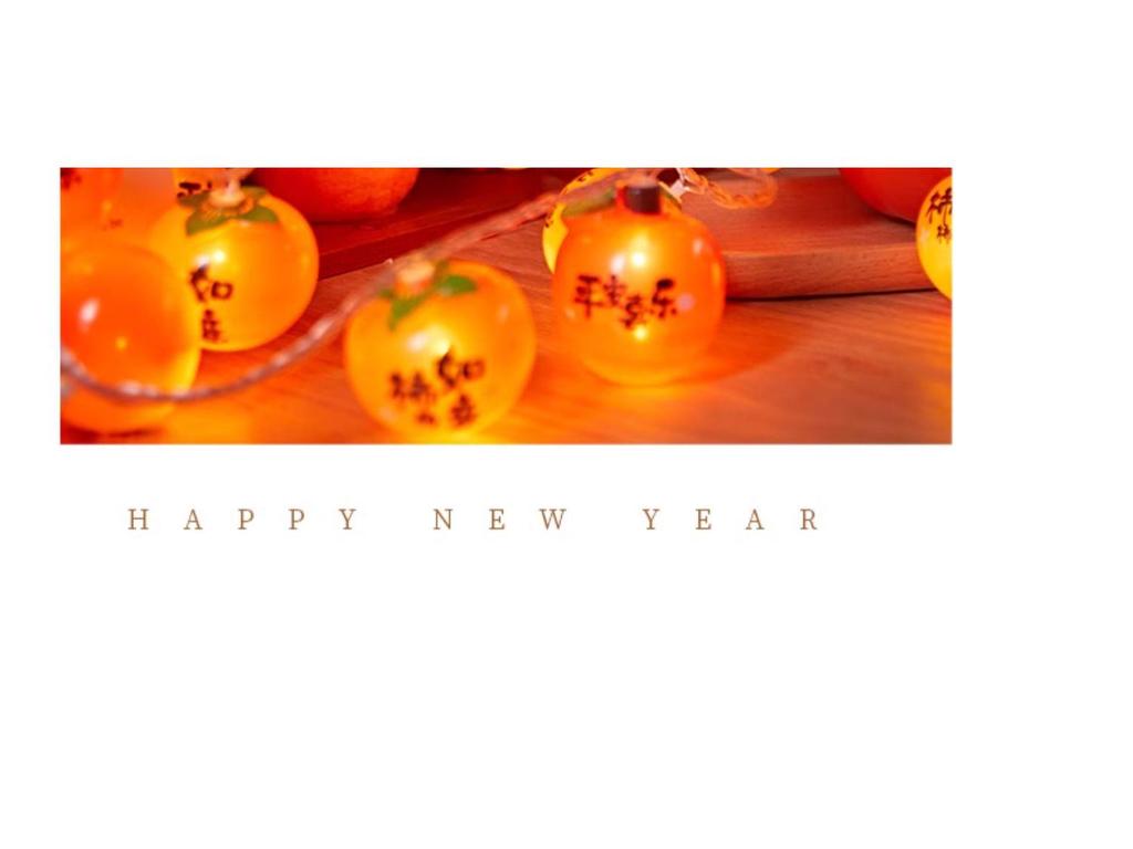 2025 Year of the Snake Festive Decor: Spring Festival String Lights & Ornaments for New Year Atmosphere