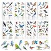 8 Cartoon Bird Watercolor Bird Collage Hand-on DIY Handbook Mobile Phone Case Laptop Decoration Can Be Waterproof