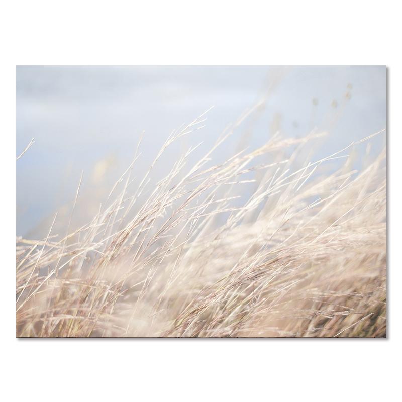 Pastoral Nature Scenery Plants Canvas Paintings Nordic Animal Reed Quotes Posters Modern Print Pictures for Wall Art Home Decor