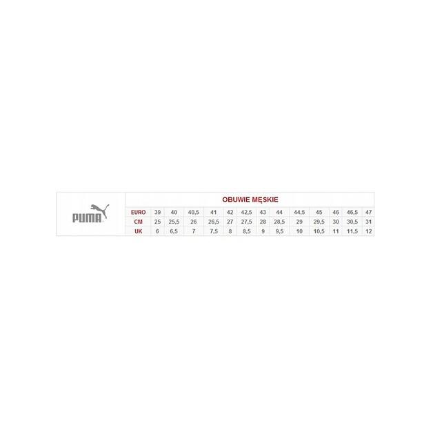 Кроссовки Puma 392333-02