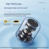 sanag X6 Portable Bluetooth Speaker CN plug (adapter included)