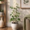 Climbing Stand Plant Support Rack Hollow Out Plant Trellis Frame  Potted Plants