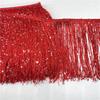 Sequin Encryption Thickened 20Cm Wide Nylon Row Beard Latin Dance Fringed Lace Dance Clothing Accessories