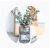 Glass vase clear flower large straight cylindrical transparent European style bottle Nordic stylish beautiful cement colorful