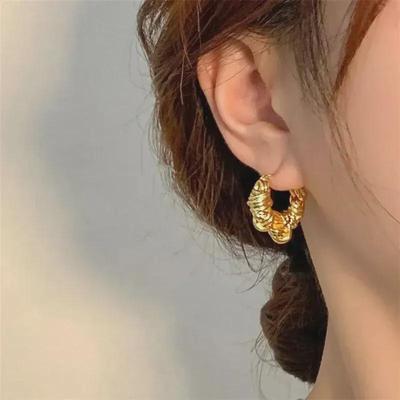 Schicke gedrehte Metallohrringe: Europäisches & Amerikanisches Hip-Hop-Design für Frauen