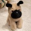 Small Plush Husky Shiba Inu Dog Toy - Soft Comfort Doll for Kids