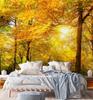 Wallpaper Autumn forest in the sunshine