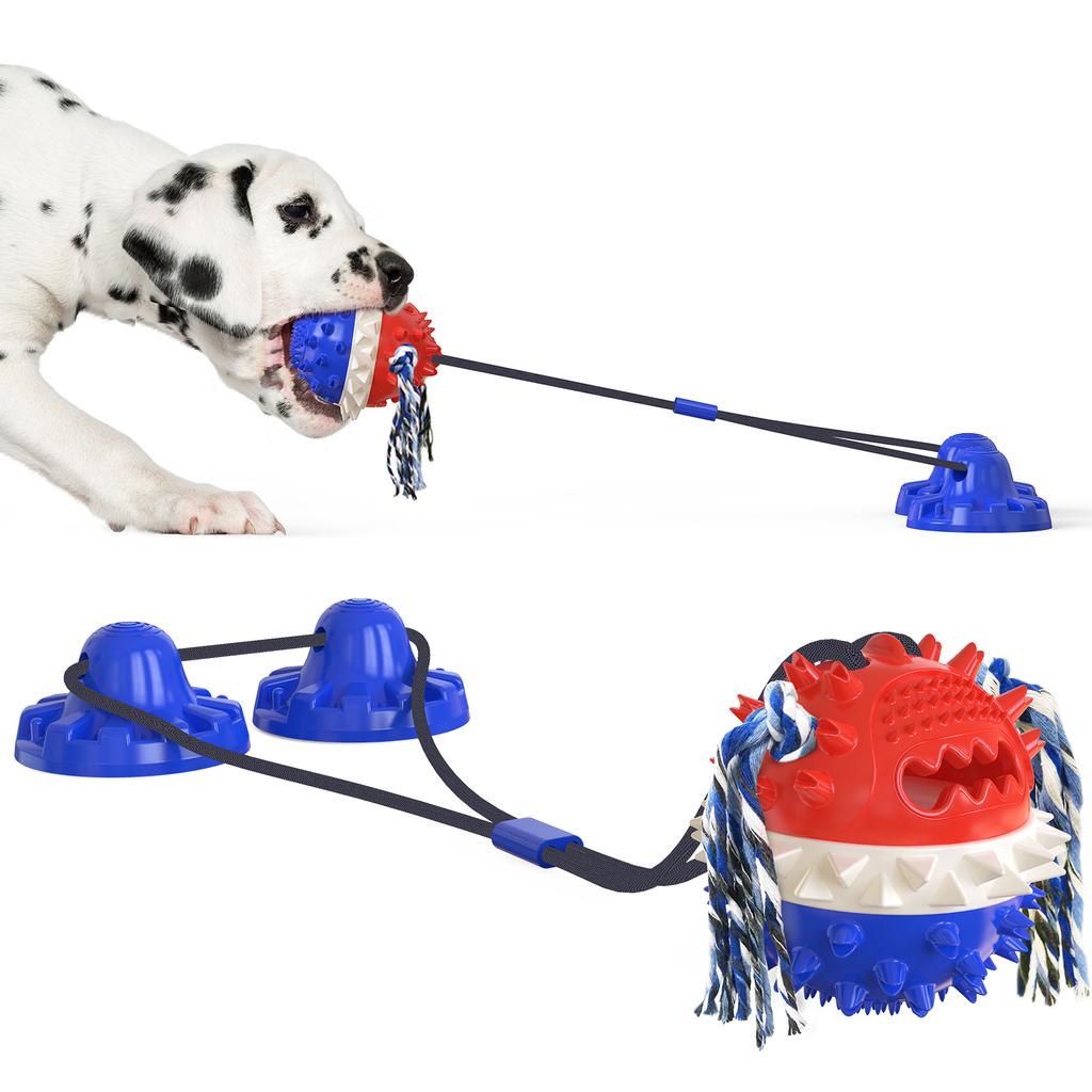 Customization Molar Funny Chew Food Toy Ball Durable Interactive Designer Suction Cup Pet Dog Toy
