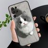 Phone Case For Samsung A17 A55 A16 A56 A35 A15 A53 A54 A33 A34 A25 A05S A52 A52S A07 A26 A06 Cute Cats