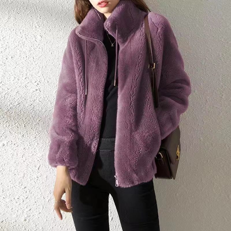 Women's Coral Fleece Plus Size Jacket Autumn Winter Double-Sided Fleece Warm Cardigan Hoodie Zipper Stand Collar Plush Jacket