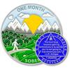 1 Month Sobriety Coin 30 Days Sobriety Chips AA Chip AA Coins 1 Month Sober Chip Token Recovery Medallion Plastic Case Included-Baking Paint Process