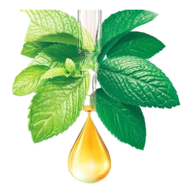 Darlie Double Mint Fresh & Clean Toothpaste