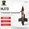 Top Explorer H173 One-Quarter Anatomical Projectile Model