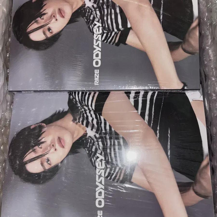 

Альбом Rise Продажа