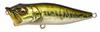 Megabass POP-X Lure - GG Bass