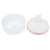 Dual Spray Air Humidifier USB Charging Mini Innovative Mute Mist Diffuser for Home 1000ml